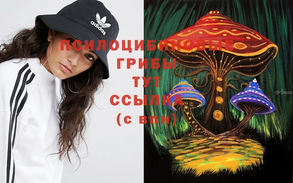 apvp Беломорск